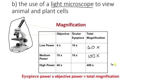 how to determine magnification of a microscope